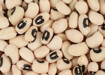 BlackEyedPeas-1