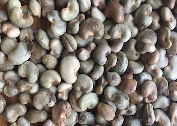 Senegal-raw-cashewnuts