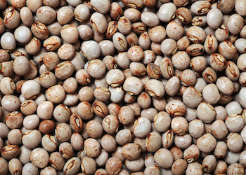 pigeon peas image
